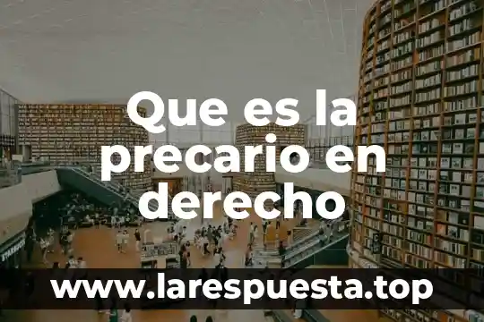Que es la precario en derecho