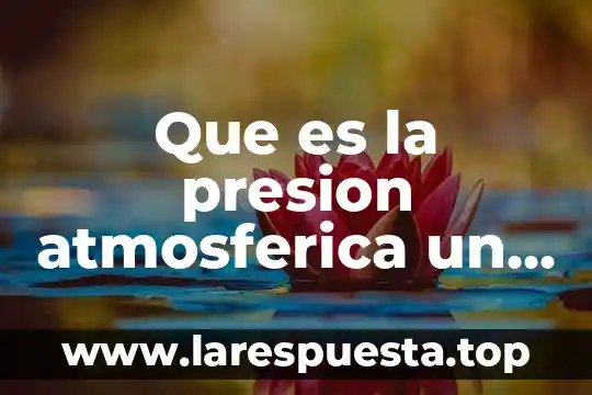 Que es la presion atmosferica un vaso con agua