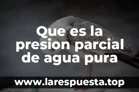 Que es la presion parcial de agua pura