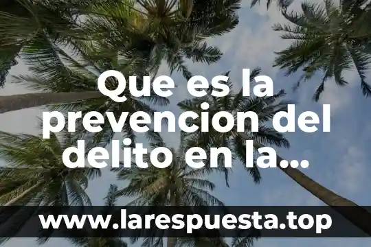 Que es sociabilidad en conocimiento 8 Que es la prevencion del delito en la politica criminal