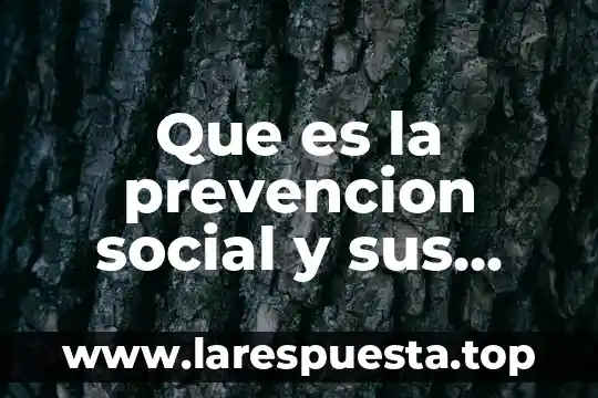 Que es la prevencion social y sus niveles