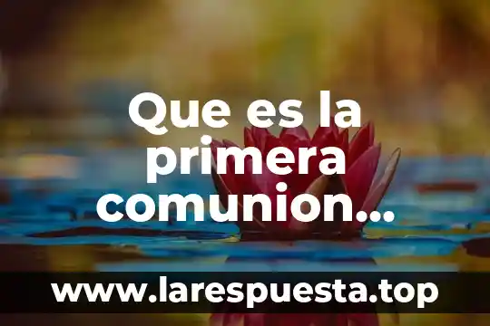 Que es salud explicacion para niños 4 Que es la primera comunion explicacion para niños