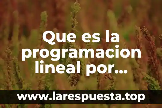 Que es la programación y sus aplicaciones 3 Que es la programacion lineal por metas