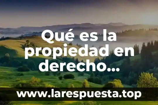Que es intelectual de educacion especial 3 Qué es la propiedad en derecho intelectual
