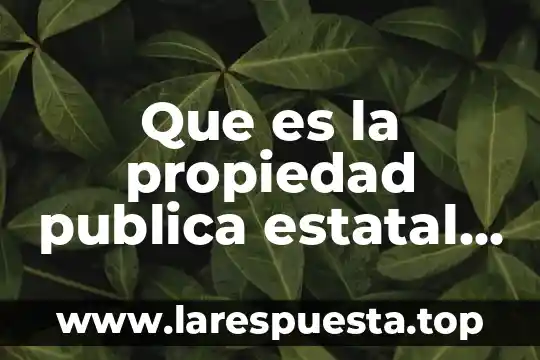 Centro estatal de salud mental que es 8 Que es la propiedad publica estatal privada originaria