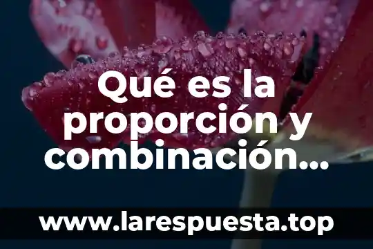 Que es proporción en dibujo 6 Qué es la proporción y combinación de alimentos