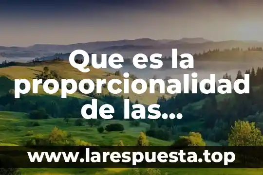 Qué es proporcionalidad directa múltiple 4 Que es la proporcionalidad de las funciones administrativas