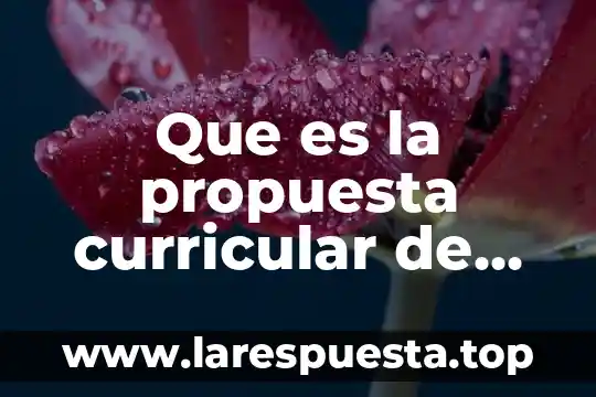 Que es area de formacion basica 7 Que es la propuesta curricular de educacion basica