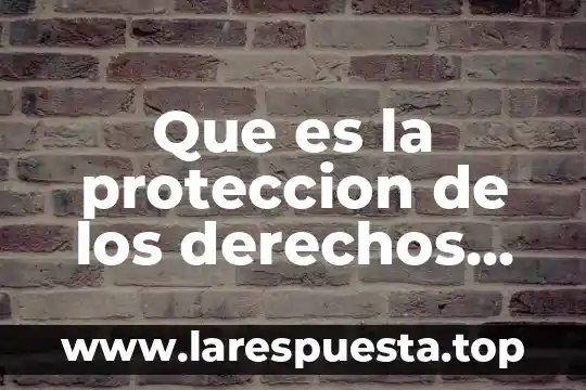 Que es la proteccion de los derechos humanos en colombia