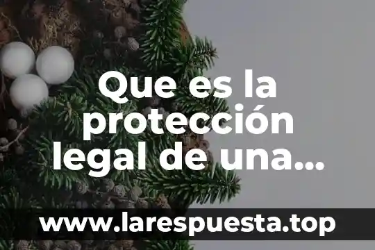 Que es la protección legal de una obra informática