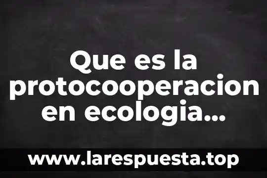 Que es la protocooperacion en ecologia ejemplos