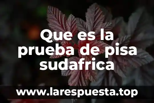 Que es la prueba galifret-granjon 5 Que es la prueba de pisa sudafrica