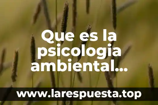 Que es psicologia del color segun eva heller 5 Que es la psicologia ambiental segun charles j hollander