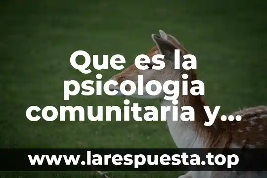 Que es la psicologia comunitaria y donde surgio el campo