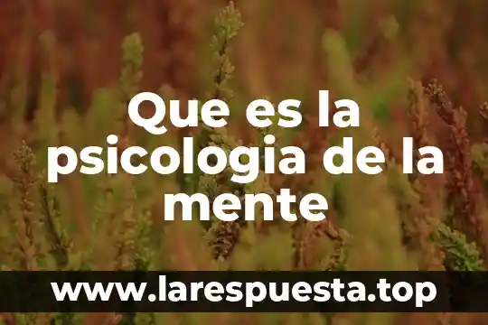 Que es la psicologia de la mente