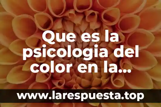 Que es la psicologia del color en la mercadotecnia