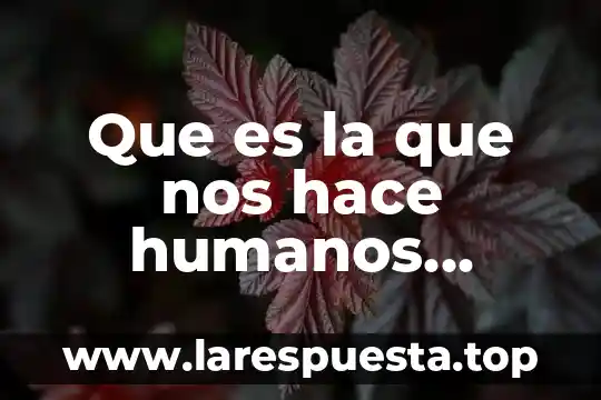 Qué es lo que nos adentra en un cuento 5 Que es la que nos hace humanos facundo