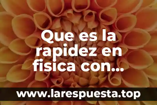 Que es la rapidez en ciencias fisica ejemplo 8 Que es la rapidez en fisica con formula