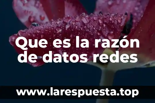 Que es diagramador de redes con tiempos determinísticos y probabilísticos 3 Que es la razón de datos redes