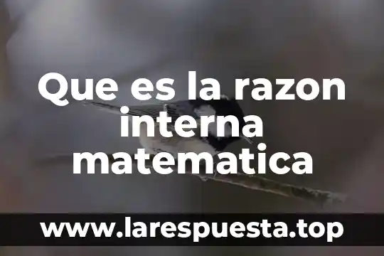 Que es una antologia de matematica definición 4 Que es la razon interna matematica