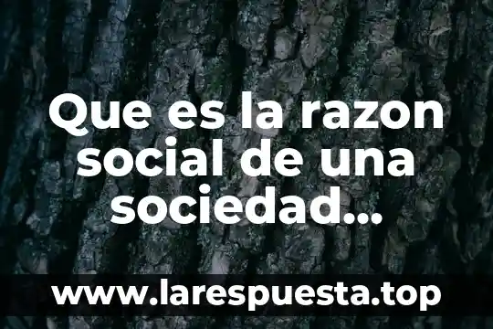 Qué es razon o nombre fiscal 6 Que es la razon social de una sociedad extranjera