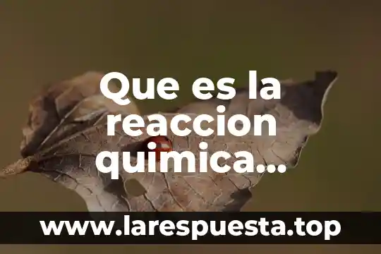 Que es la reaccion quimica llamada saponificacion
