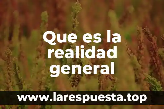 Que es la realidad general