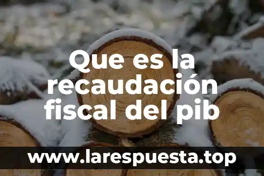 Qué es PIB ejemplos 8 Que es la recaudación fiscal del pib