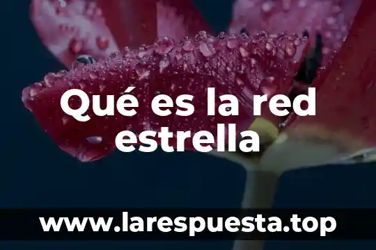 Qué es la red estrella