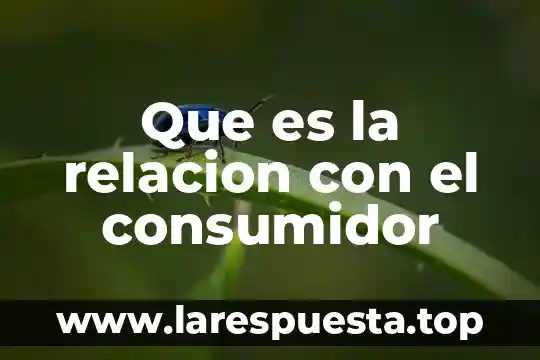 Que es una relacion indirecta 6 Que es la relacion con el consumidor