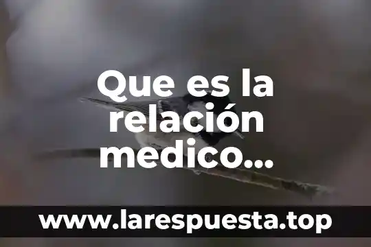 Qué es un dermatólogo médico 6 Que es la relación medico paciente