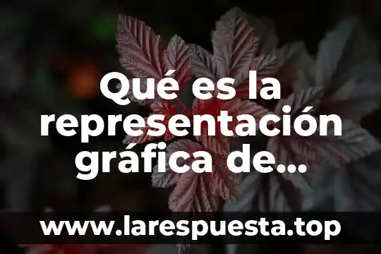 Qué es la representación gráfica de boseto