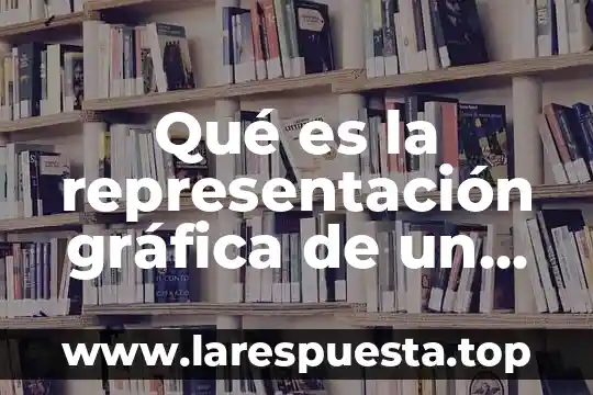 Qué es la representación gráfica de un proyecto