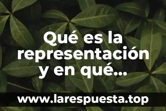 Que es derecho adminis 4 Qué es la representación y en qué consiste en derecho