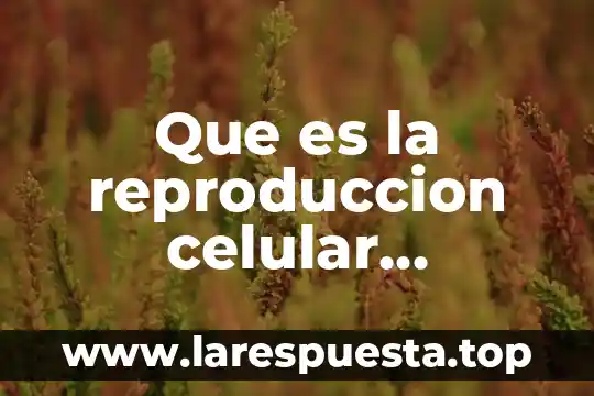 Que es la reproduccion celular resumen