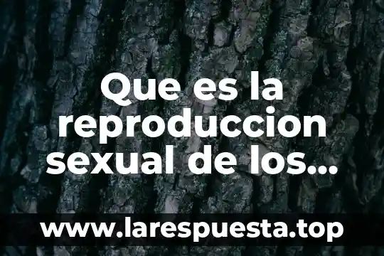 Qué es relacionarse con otros seres vivos 3 Que es la reproduccion sexual de los seres vivos