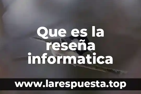 Que es una reseña editorial definicion 5 Que es la reseña informatica