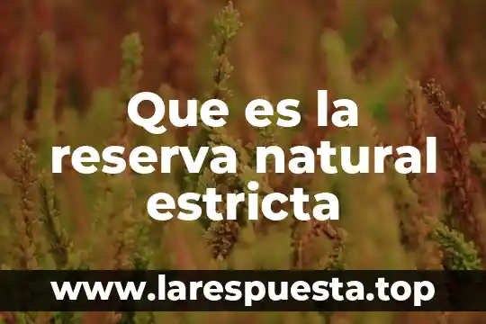 Que es reserva de derechos o certificado de indautor vigente 6 Que es la reserva natural estricta