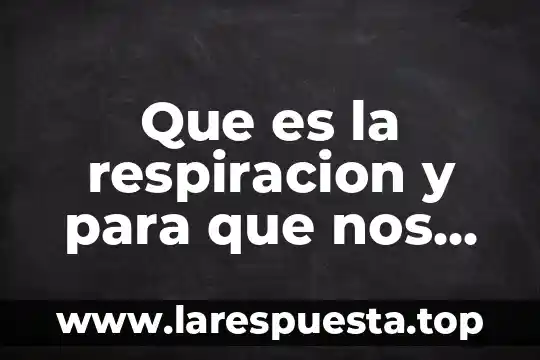 Qué es lo que nos adentra en un cuento 3 Que es la respiracion y para que nos sirve