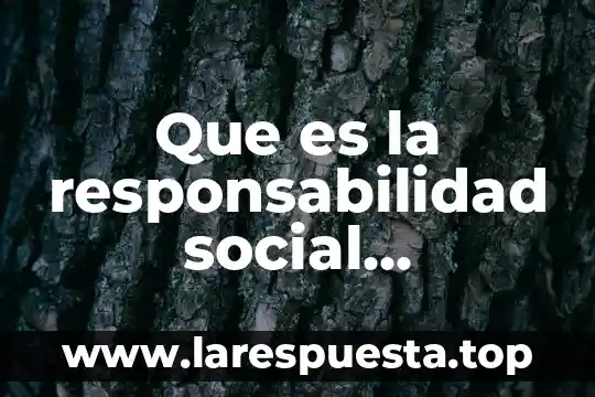 Que es la responsabilidad social estructurada 8 Que es la responsabilidad social profesional
