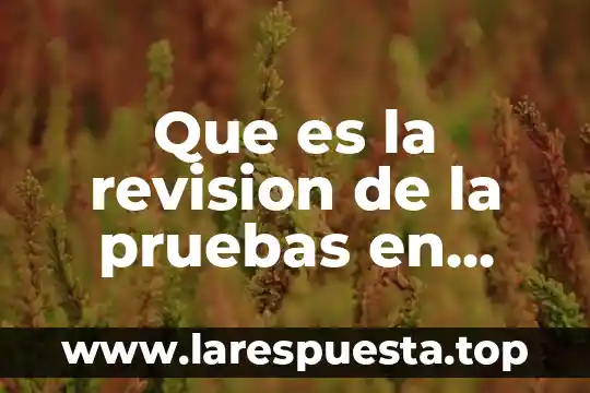 Que es la fecha de revision de un documento 8 Que es la revision de la pruebas en sistemas