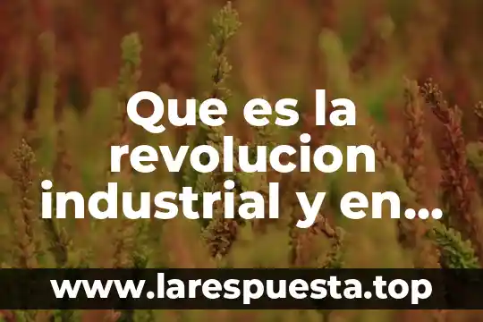 Que es la revolucion industrial y en donde surgio