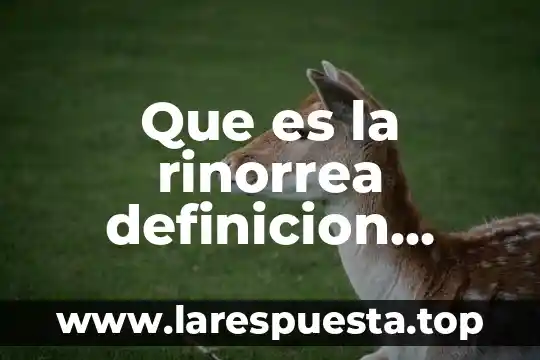 Que es la rinorrea definicion medica