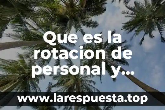 Qué es rotación en un plano 6 Que es la rotacion de personal y como se mide