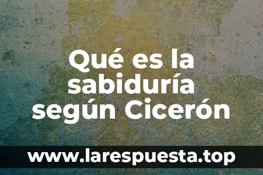 Que es la cultura de elite yahoo 8 Qué es la sabiduría según Cicerón