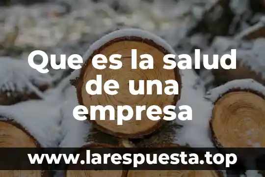 Que es la salud de una empresa