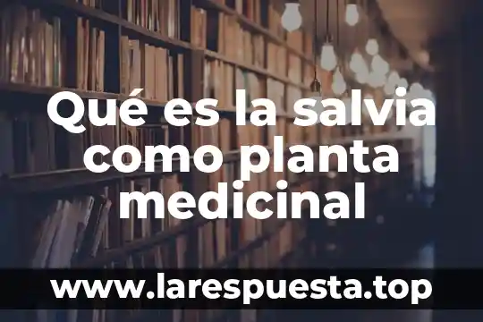 Qué es la salvia como planta medicinal
