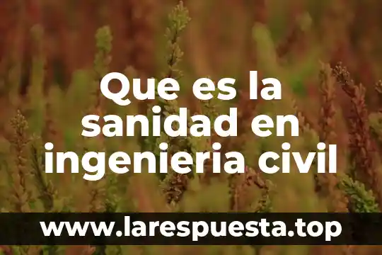 Que es la sanidad en ingenieria civil