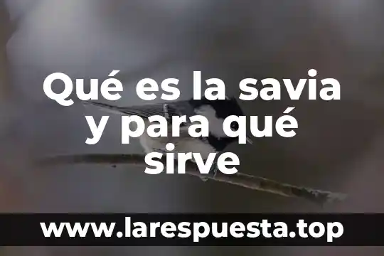Qué es la savia y para qué sirve