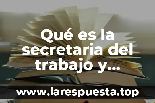 Que es secretaria de educacion ssc 8 Qué es la secretaria del trabajo y prevencion